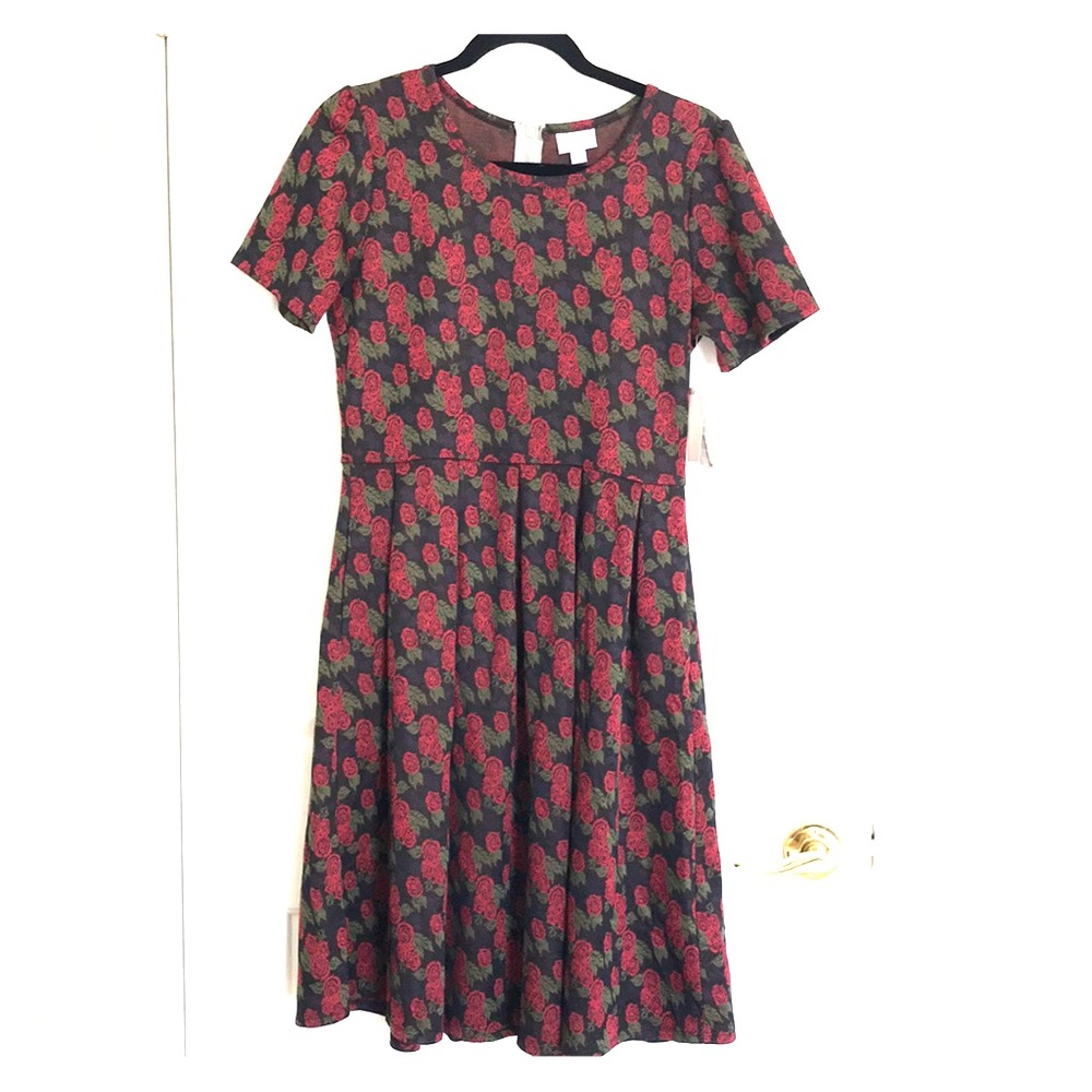 LulaRoe Amelia Rose dress